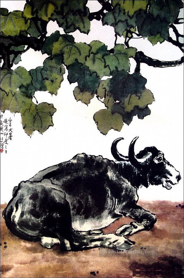 Xu Beihong eine Rinderfarbe aus China Ölgemälde